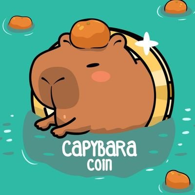 Capybara BSC