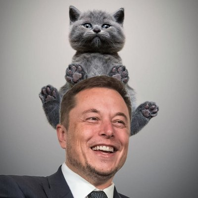 ELON CAT COIN