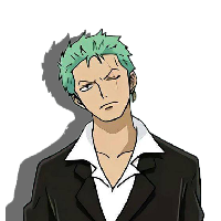 Zoro CEO